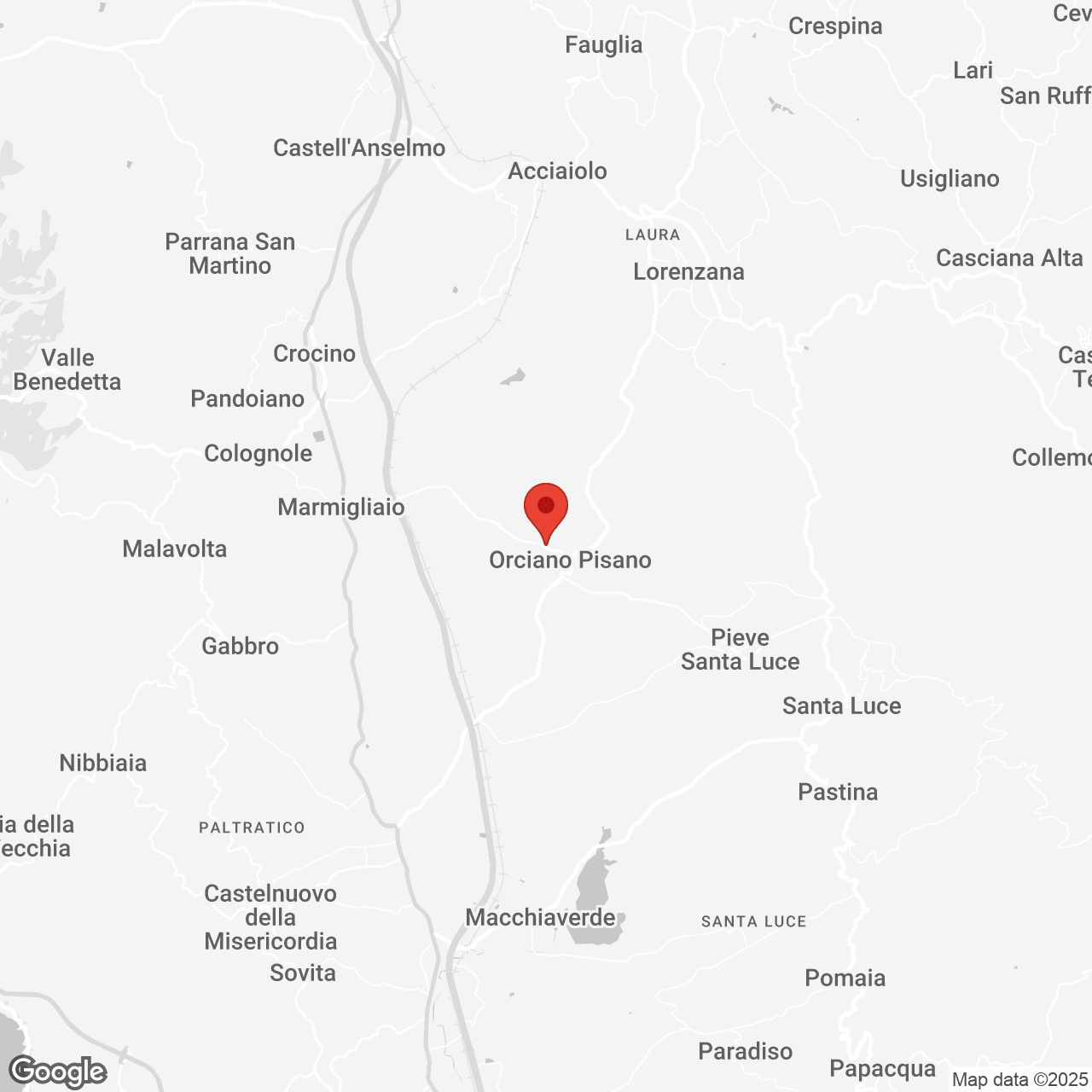 VIA+ROMA+66+BIS+56040+ORCIANO+PISANO+PI+TOSCANA